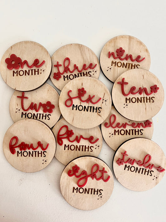3D | Engraved Monthly Nursery Milestones Markers