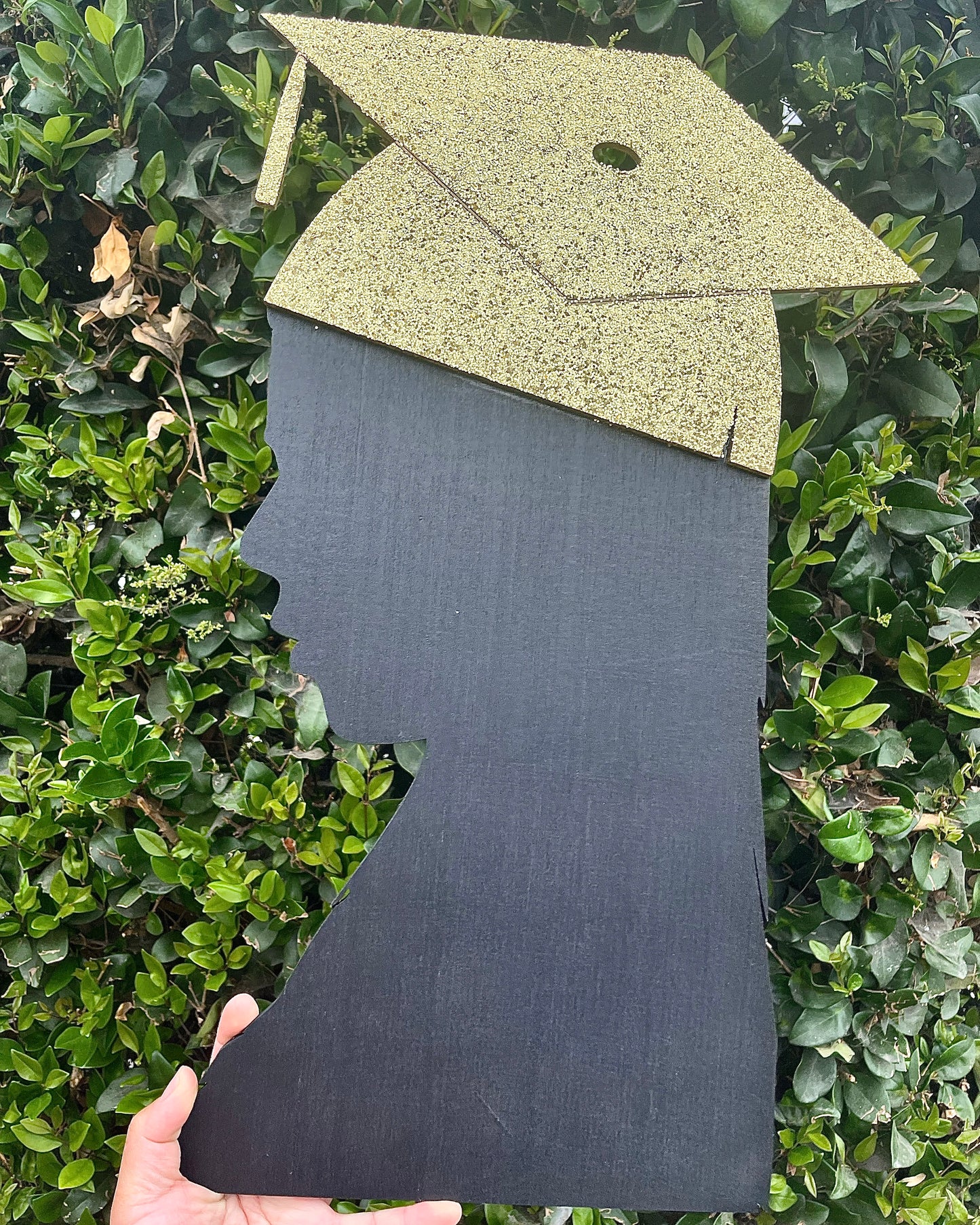 Custom Graduate Silhouette Signature Board