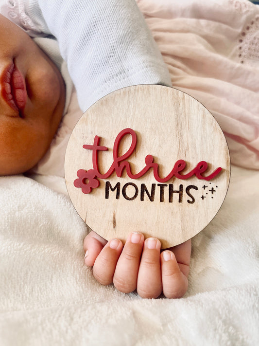 3D | Engraved Monthly Nursery Milestones Markers